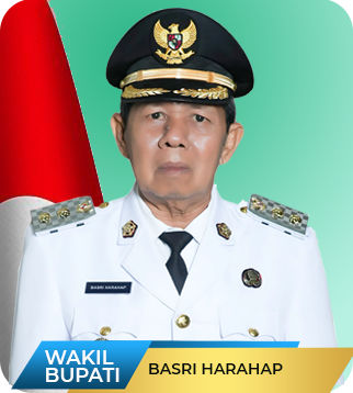 Wakil
